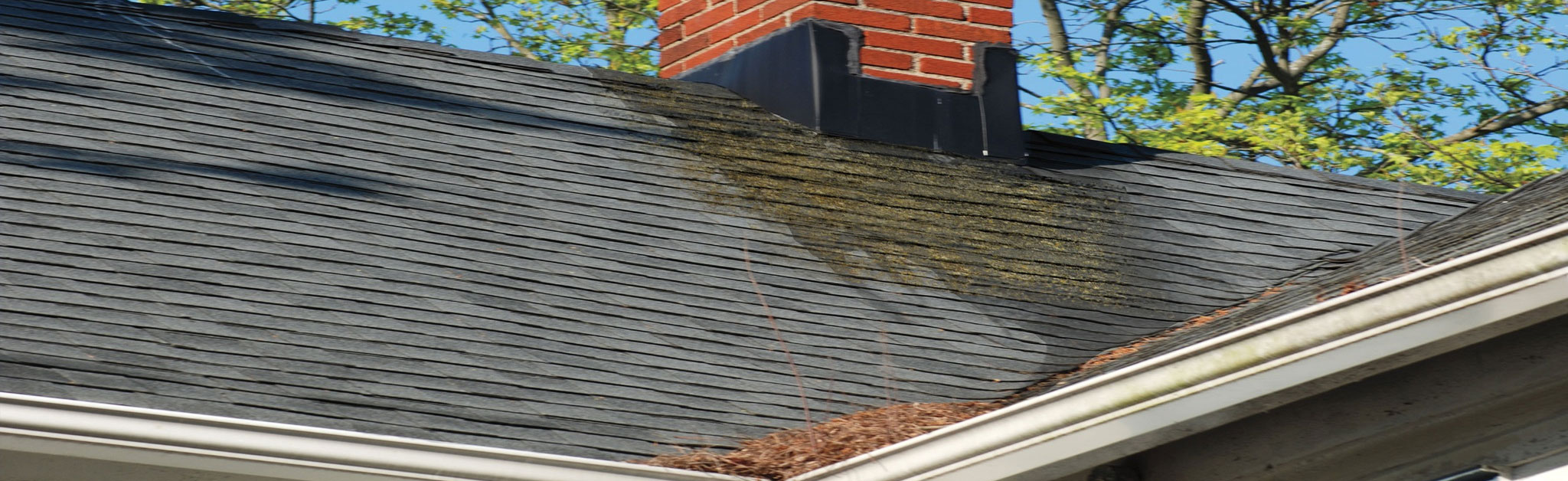 Guard of Honor Roofing Images