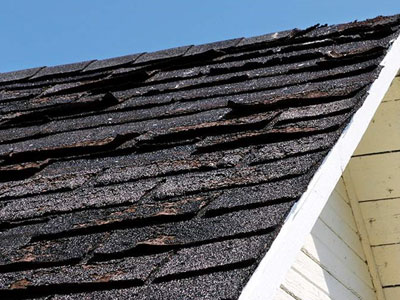 Guard of Honor Roofing Images