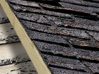Guard of Honor Roofing Images