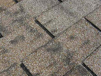 Guard of Honor Roofing Images